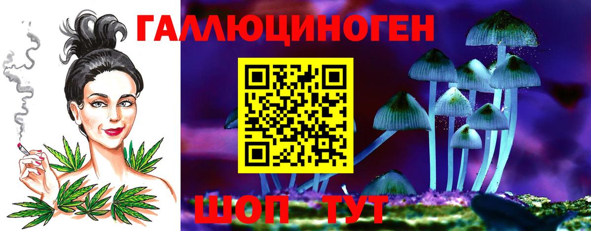 Лангепас  Галлюциногенные грибы Psilocybe  Вход с VPN 